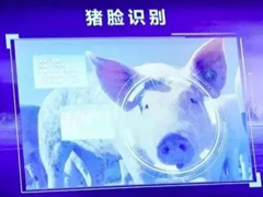 2024澳门原料免费